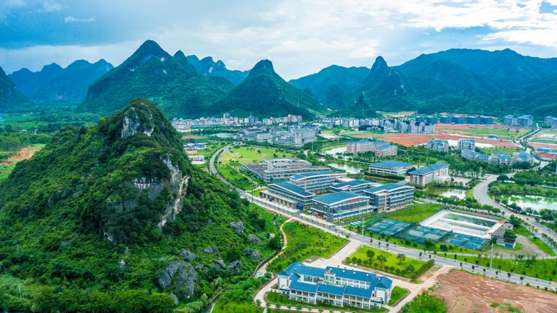 上海芯片设计公司分类解析：如何选择合适的设计方案