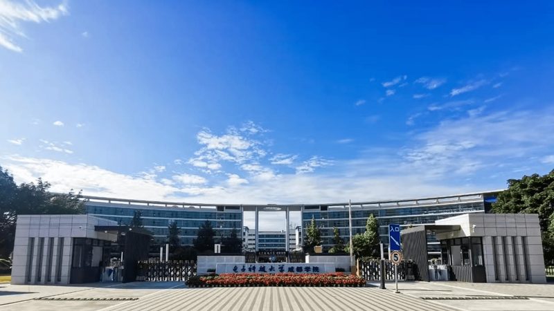 LED正负极识别：关键步骤与注意事项