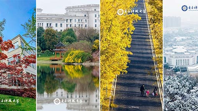 成都三极管采购：如何规避常见误区，确保选型精准**